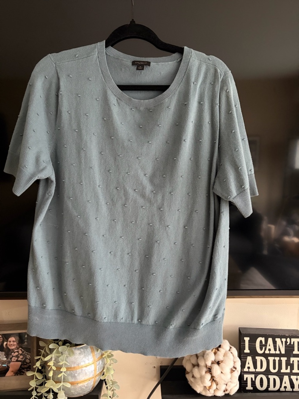 Ann Taylor Pale Blue Short Sleeve Knit Top